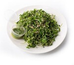 Салат из микрозелени Botanica №2