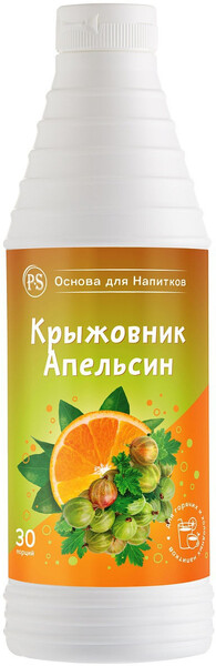 Основа для напитков Крыжовник-Апельсин, 1 кг, для коктейлей, смузи и лимонадов