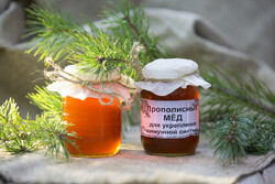 Прополисный мед 500 гр