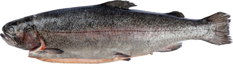 Форель Карельская потрошеная с головой Эко, весовая Россия