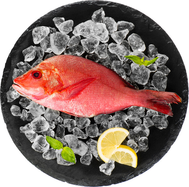 Снеппер красный охлаждённый, калибр 0,7-1,5кг, Индийский океан