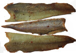 Рыба вяленая «Фландерр» янтарная с перцем, вес