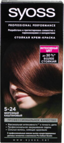 Краска для волос Syoss Color 5-24 морозный каштановый