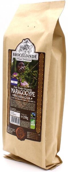 Кофе Broceliande Maragogype Nicaragua в зернах