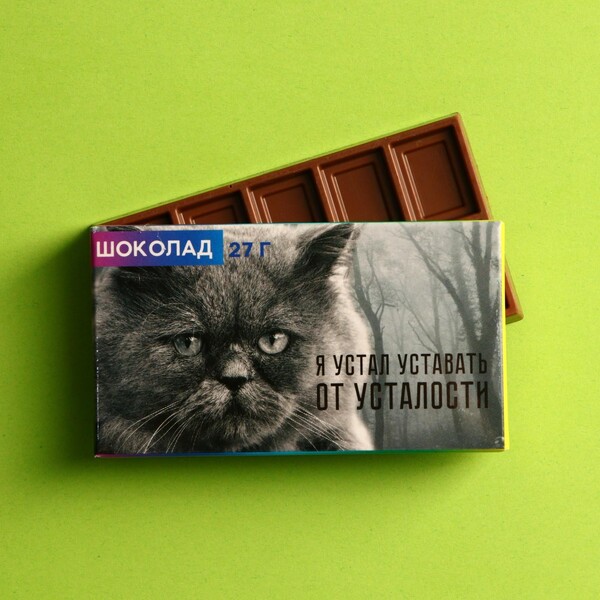 Шоколад молочный «Я устал уставать», 27 г.