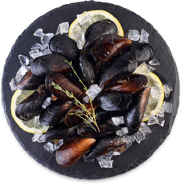 Мидии Черноморские живые , Россия