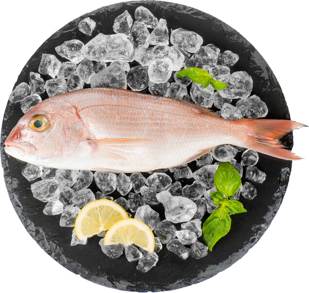 Пагр (розовая дорада) 400/600 , Турция