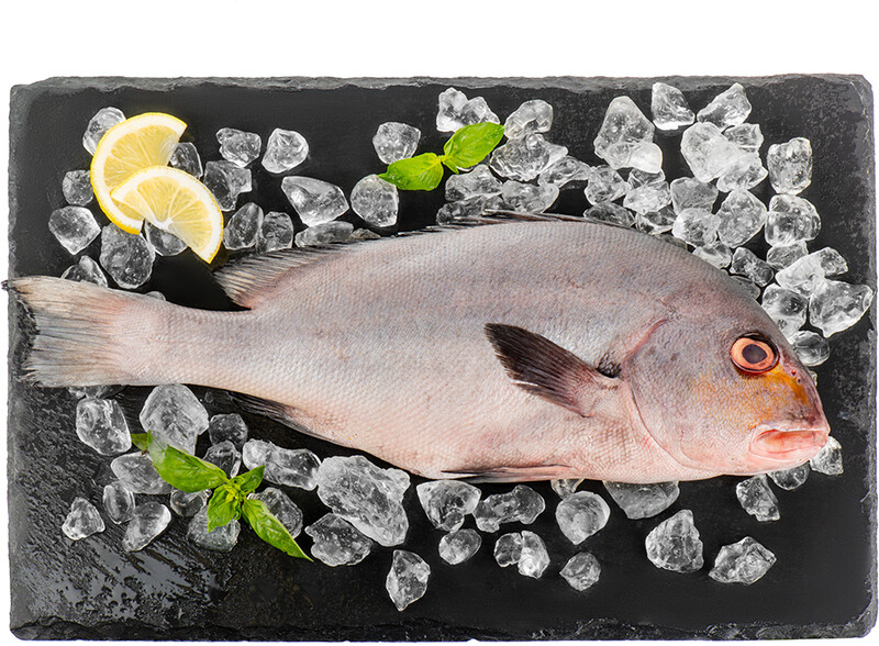 Рыба сладкогуб (гатерин) охлаждённый, 0,9-1,9кг, Индийский океан