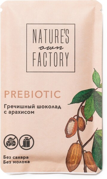 Шоколад гречишный с арахисом Prebiotic «Nature’s own factory», 20г