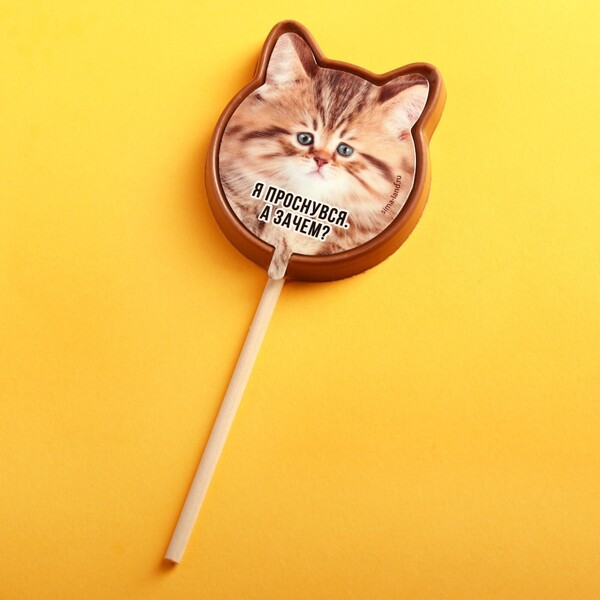 Шоколадные ушки на палочке «Я проснувся», 30 г