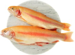 Форель янтарная,1 кг