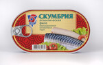 Скумбрия 5 Морей атлантическая