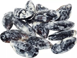 Мидии чилийские в соусе Горгонзола 500г