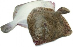 Камбала весовая фасовка замороженная Фрост Тайм