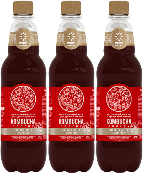 Комбуча Energy клюква, брусника и свежая мята, Absolute Nature, 555 мл., ПЭТ, 12 шт.