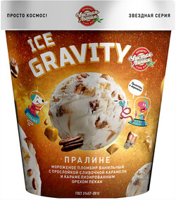 Пломбир Ice Gravity «Пралине», 270г