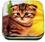 Монпансье Haas Премиум ассорти леденцовое