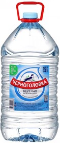 Вода Черноголовская негазированная питьевая артезианская 5л