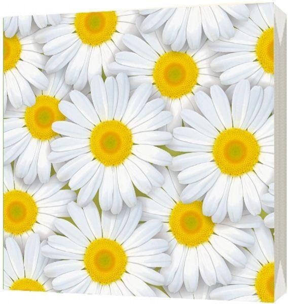 Салфетки бумажные трехслойные 20шт 33х33мм Bulgaree Green Ромашки, 110 гр., пластиковый пакет