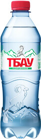 Вода Тбау минеральная питьевая газированная 0,5л