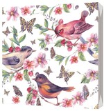 Салфетки Bulgaree green трехслойные 33*33 х 20шт Райские птички, флоу-пак