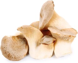 Грибы Еринги 200г