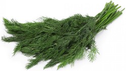 Укроп 100г