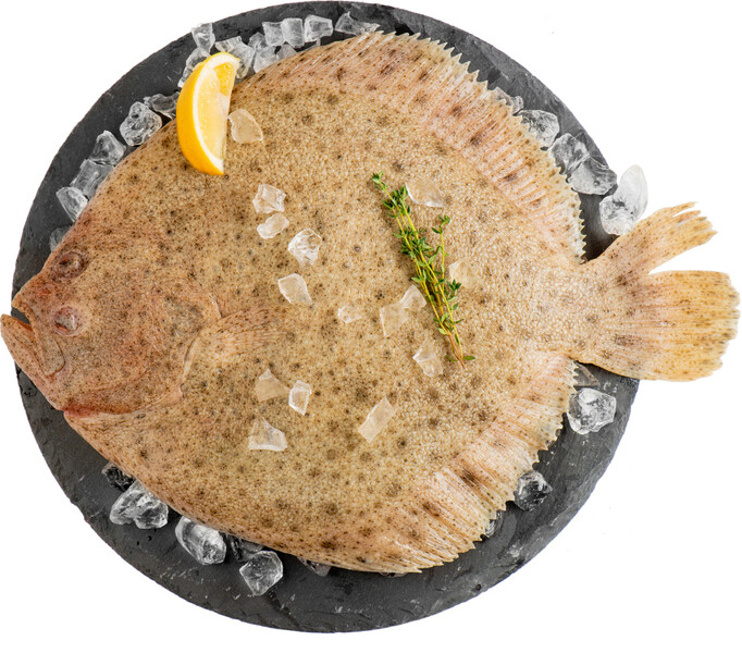 Тюрбо камбала охлажденный потрошенный 400+, Россия