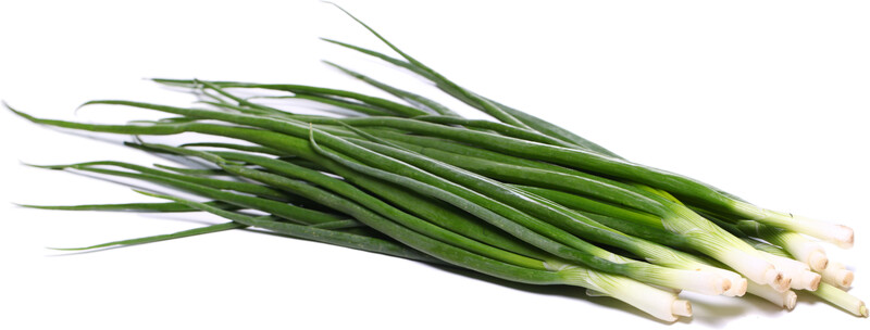 Лук зеленый