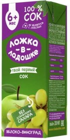 Сок Яблоко-виноград 200мл. Ложка в ладошке
