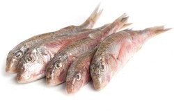 Барабулька охложденная 200-600 г X 1 кг