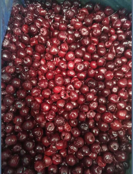 Вишня замороженная весовая ~1 кг