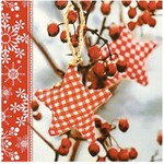 Салфетки бумажные Bulgaree green Рождество 3 слоя 33Х33 см