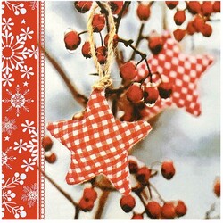 Салфетки бумажные Bulgaree green Рождество 3 слоя 33Х33 см