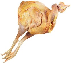 Цесарка тушка   фермерская ~1,3кг
