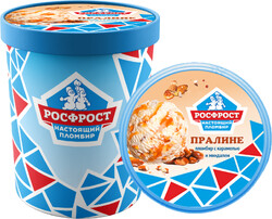 Ведро ПРАЛИНЕ Настоящий пломбир 450 гр.