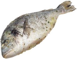 Дорадо в оливковом масле с пряностями для запекания ~450г