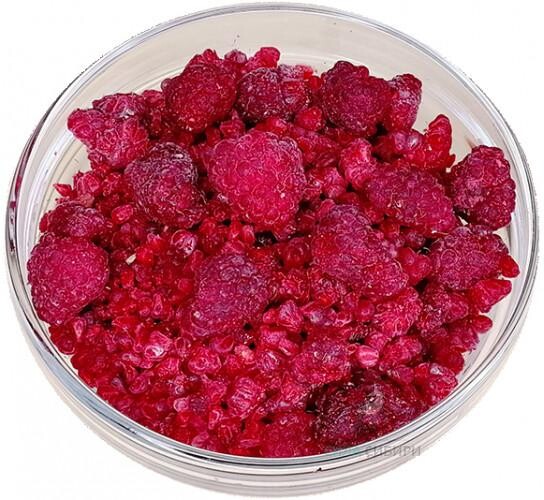 Малина Грис замороженная, 1кг