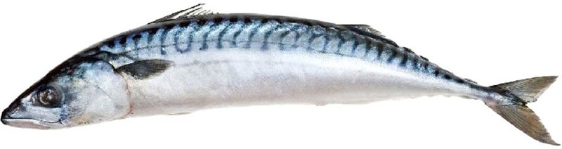 Скумбрия 300-500 Ultra Fish, вес